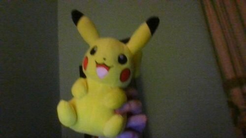 Pokemon Plush Toys photo review