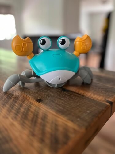 Crawling Crab Baby Toy photo review