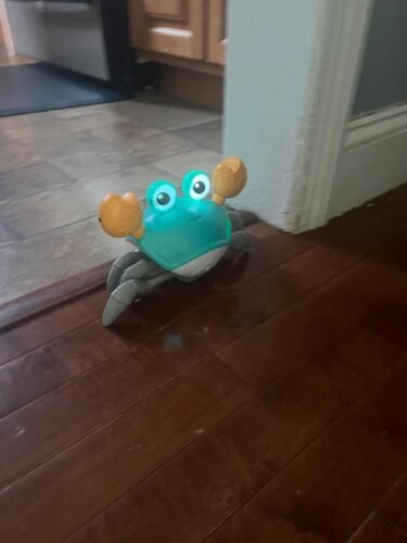Cute Sensing Crawling Crab Baby Toys photo review
