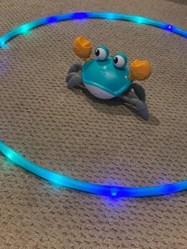 Crawling Crab Baby Toy photo review