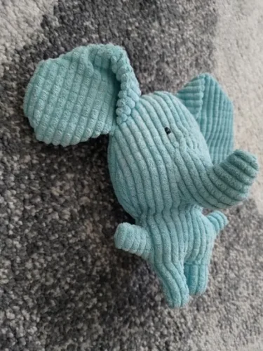 Squeaky Pet Toys photo review